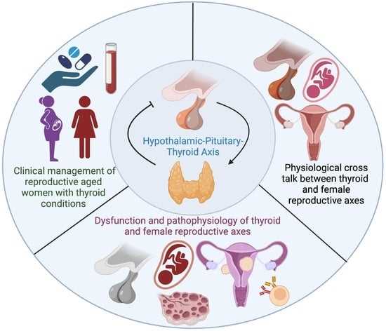 study guide chapter 36 section 1 reproductive systems answer key