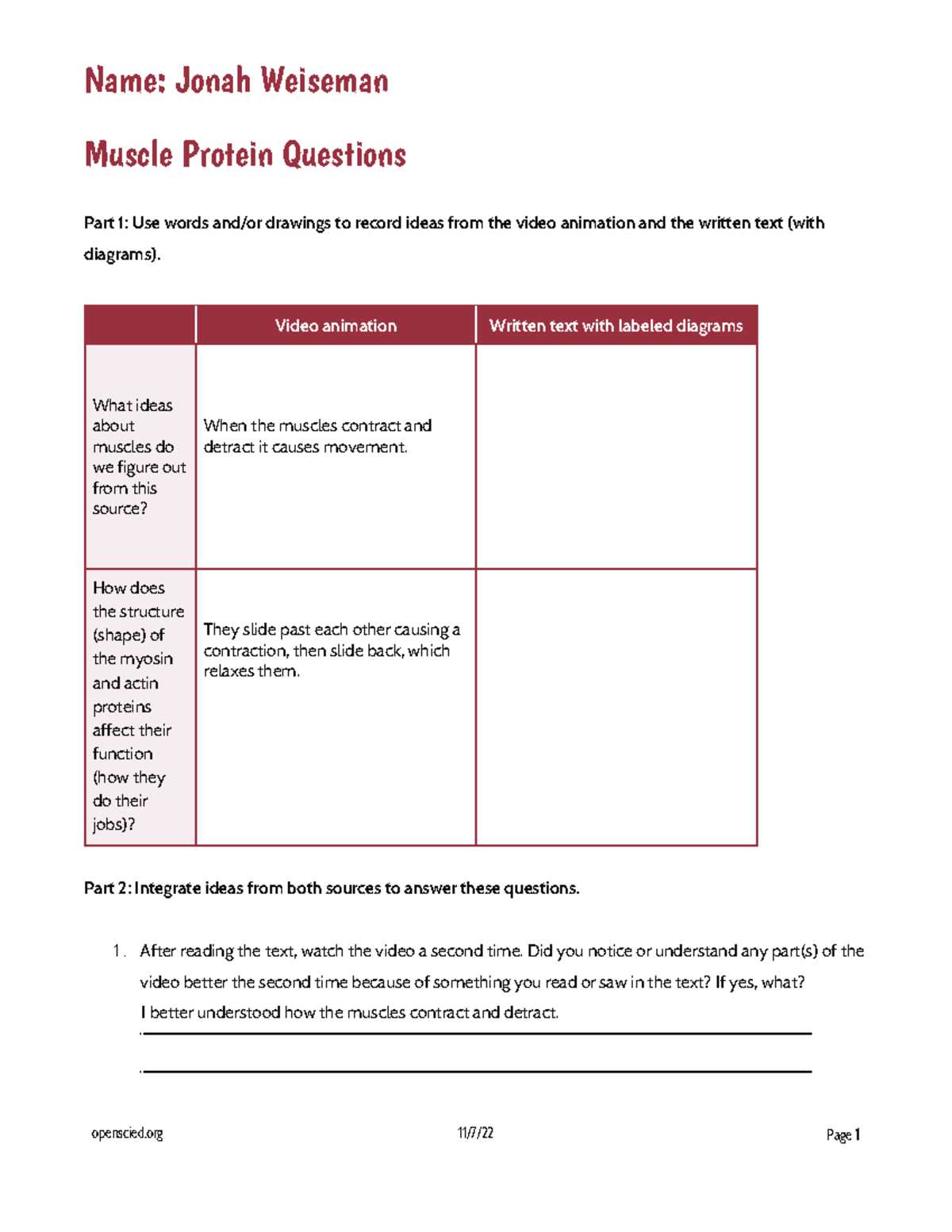lego protein synthesis lab answer key
