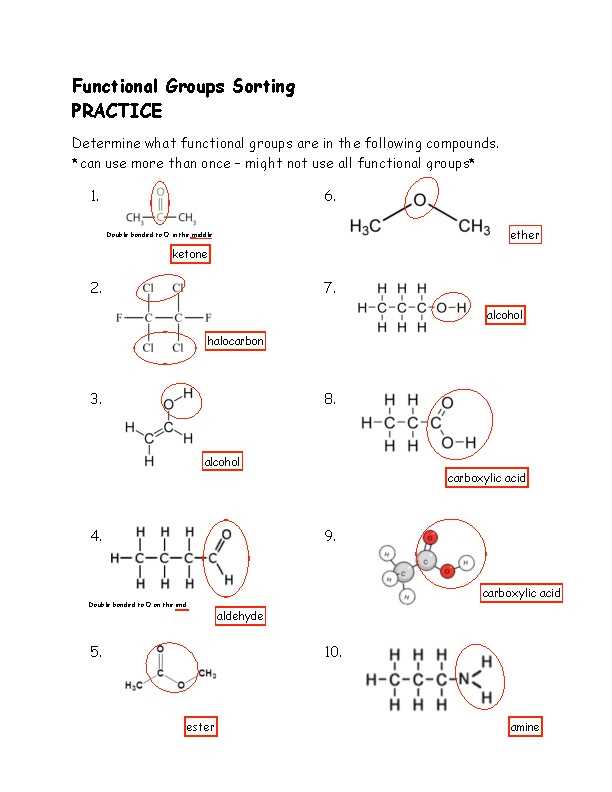 lesson 5 functional groups answer key