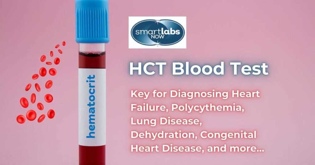 blood study guide answer key