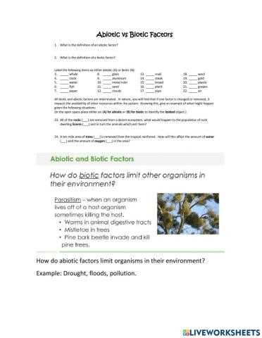 abiotic vs biotic factors worksheet answer key abiotic vs biotic factors worksheet answer key