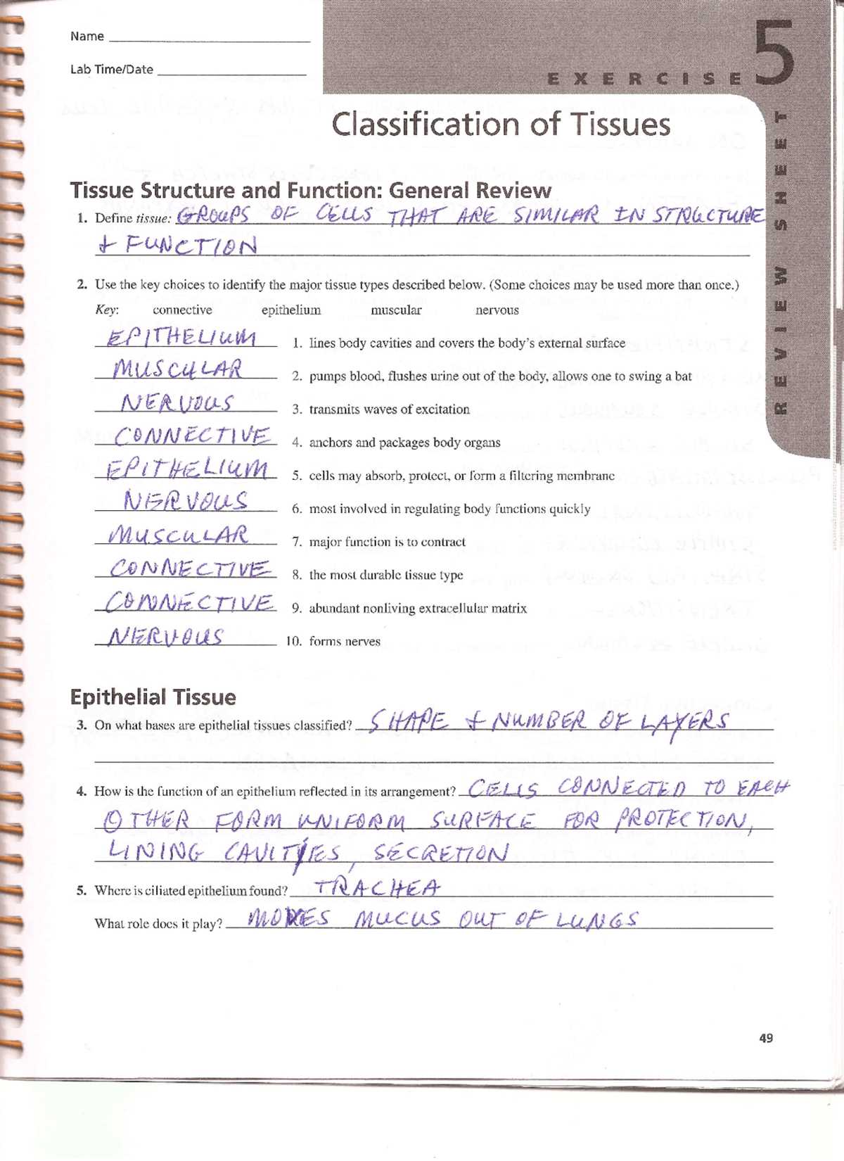 classification of tissues review sheet exercise 5 answer key