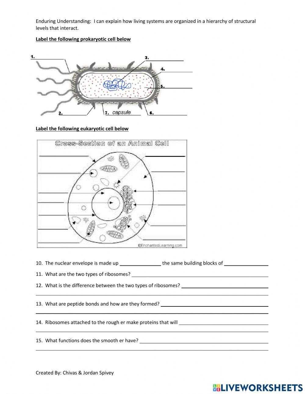 biozone answer key