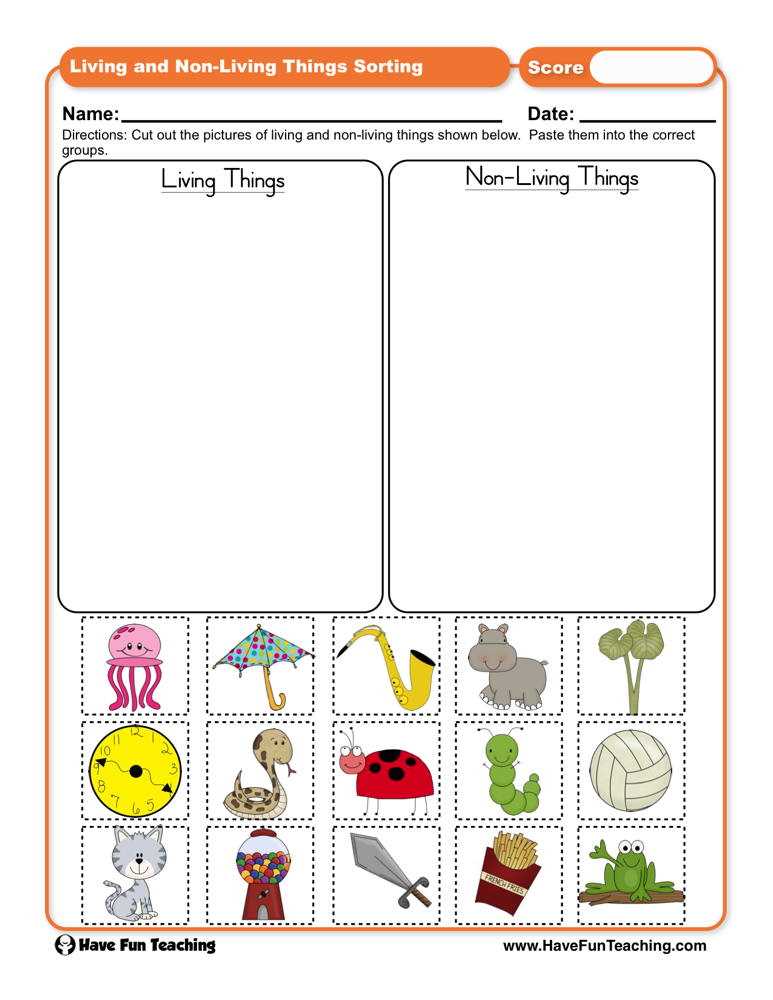 living vs nonliving worksheet with answer key