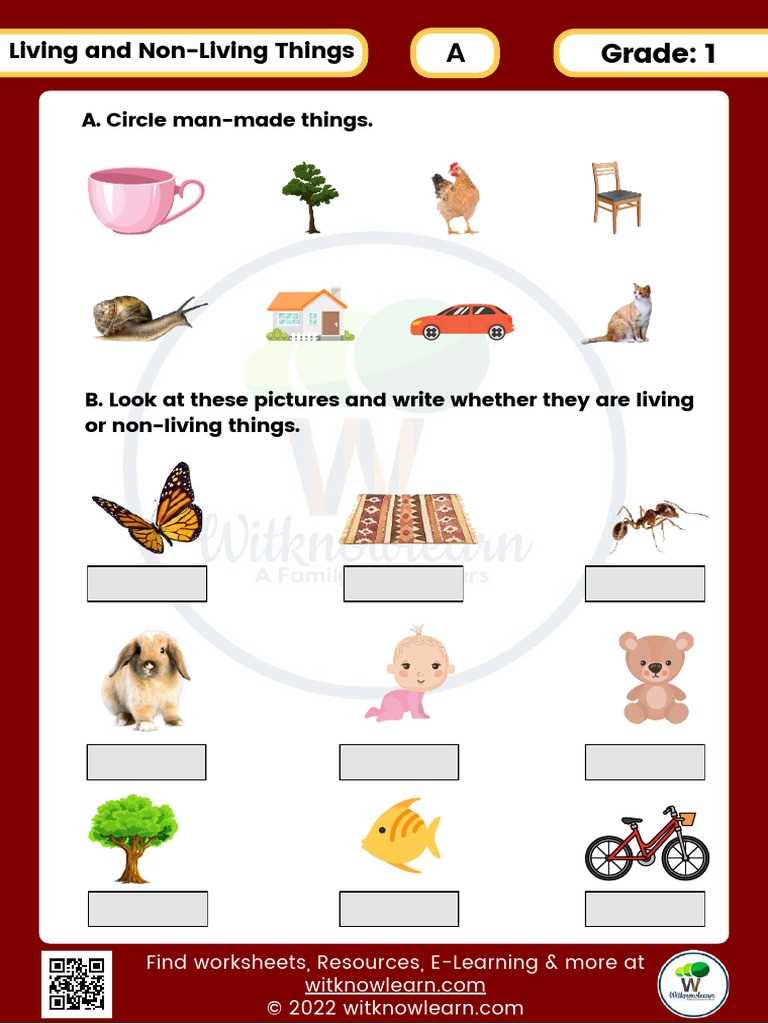 living vs nonliving worksheet with answer key