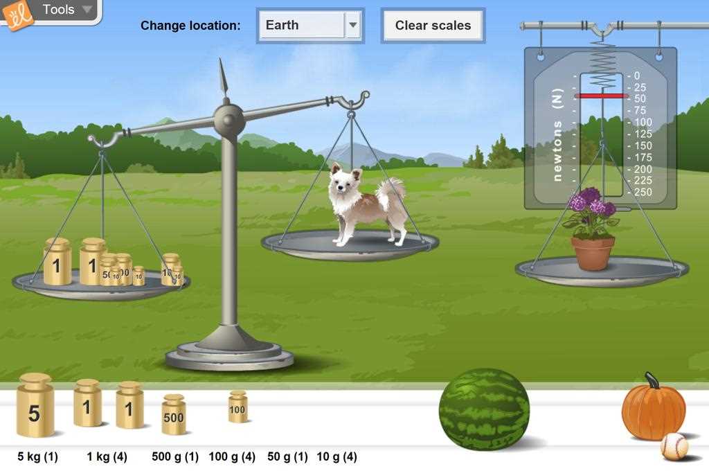 weight and mass gizmo answer key