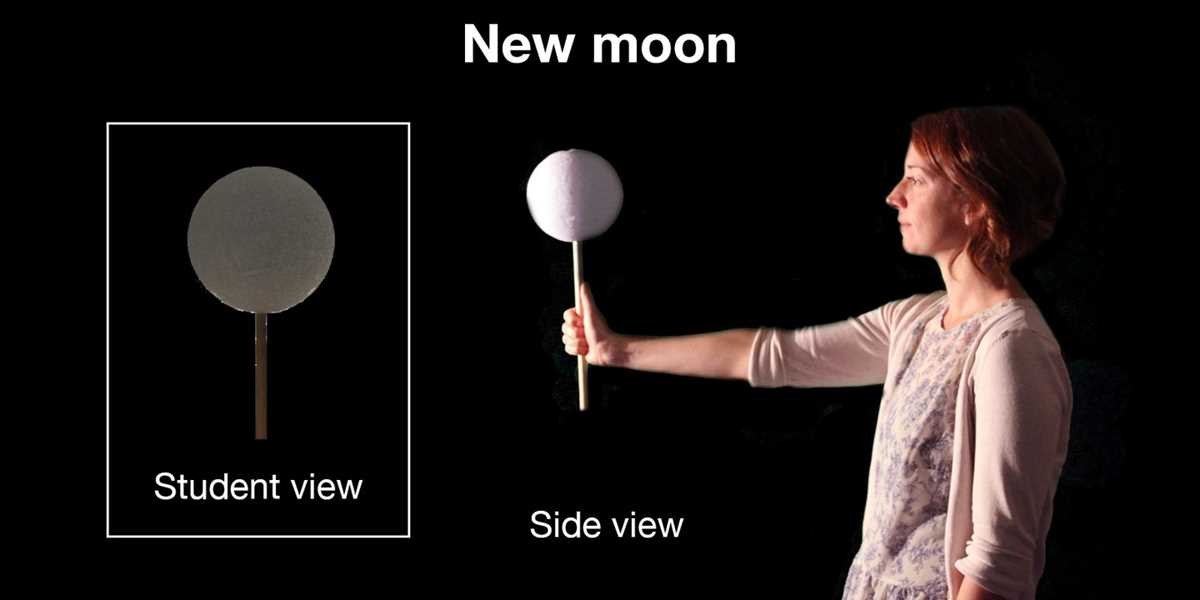 lunar lollipops lab answer key