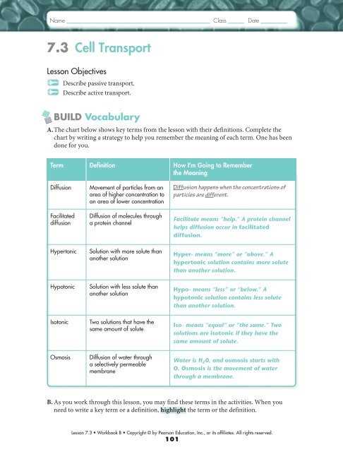 chapter 7 review biology answer key