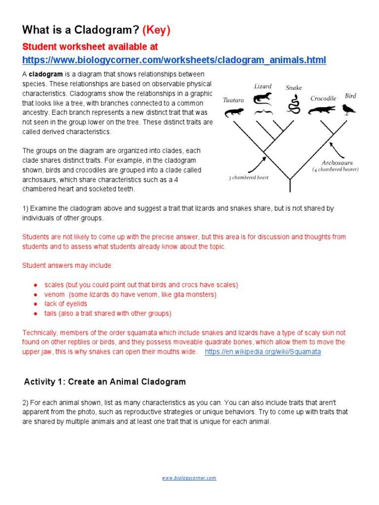 make a cladogram lab answer key make a cladogram lab answer key
