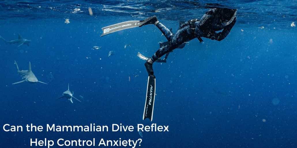 mammalian diving response answer key
