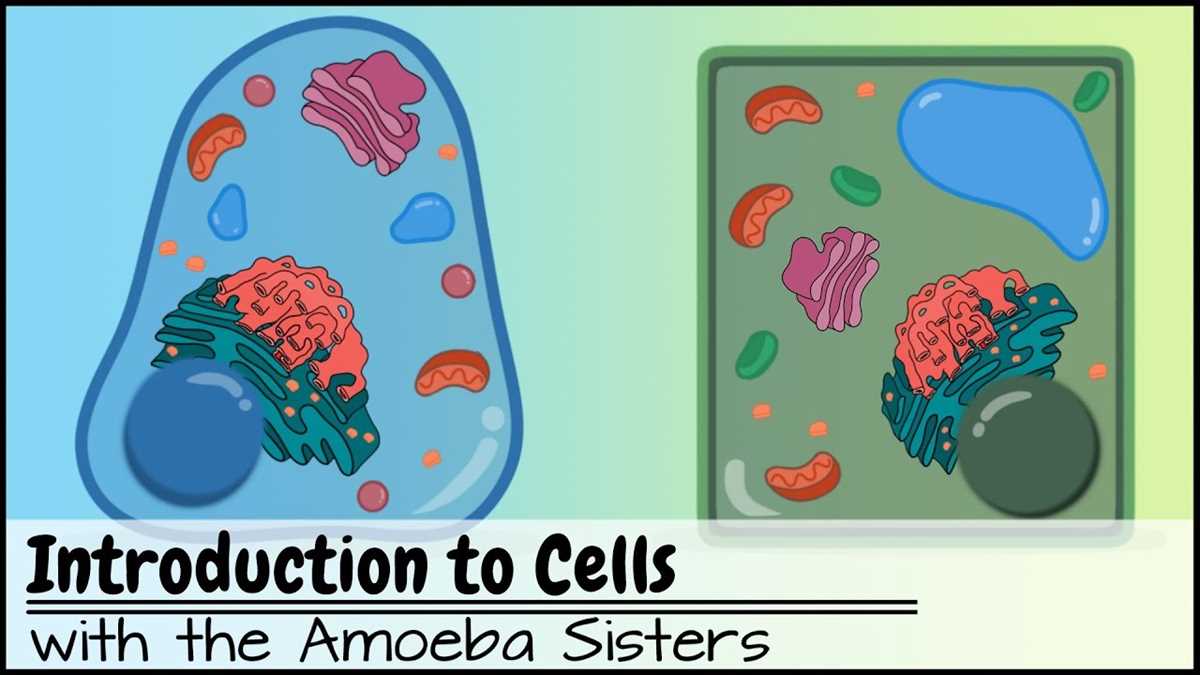 chapter 7 cell structure and function reviewing key concepts answers