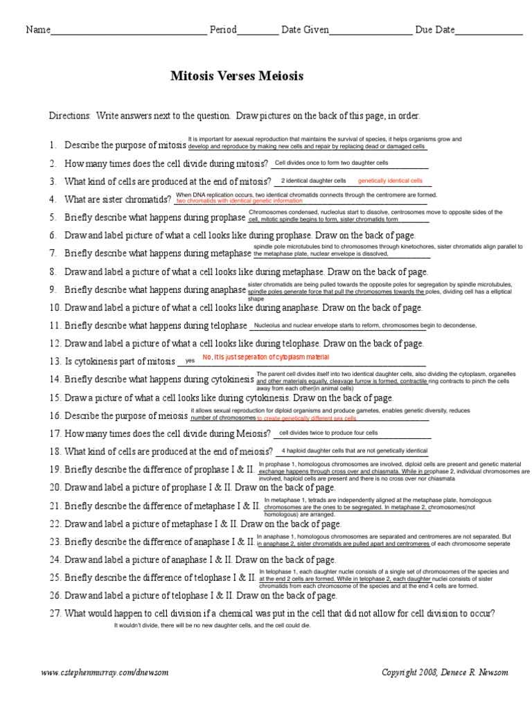 meiosis guided reading answer key