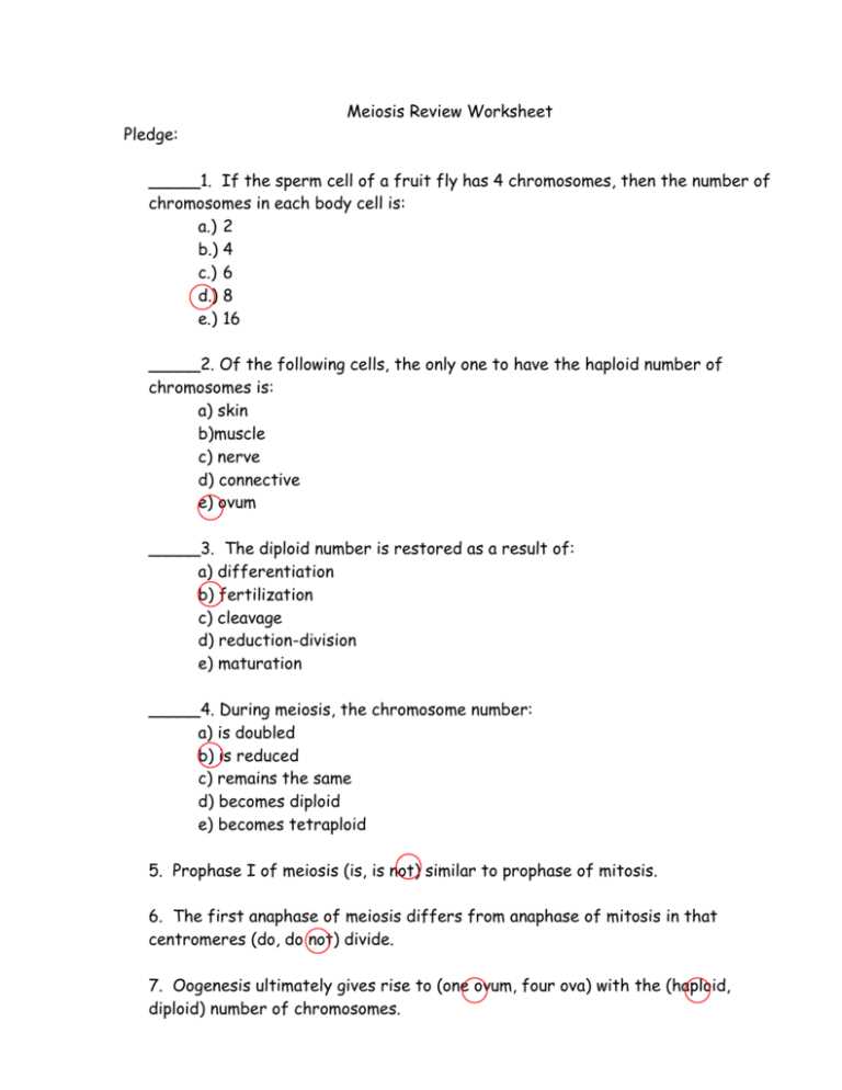 meiosis review worksheet answer key meiosis review worksheet answer key