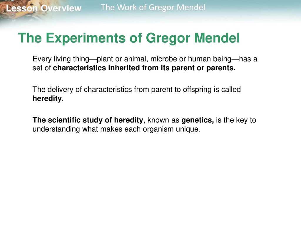 mendelian genetics powerpoint answer key
