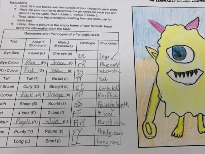 monster genetics lab answer key