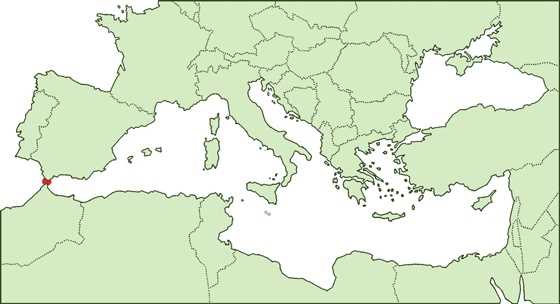 middle east and north africa study guide answer key