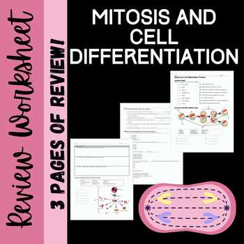 mitosis and cell differentiation practice answer key