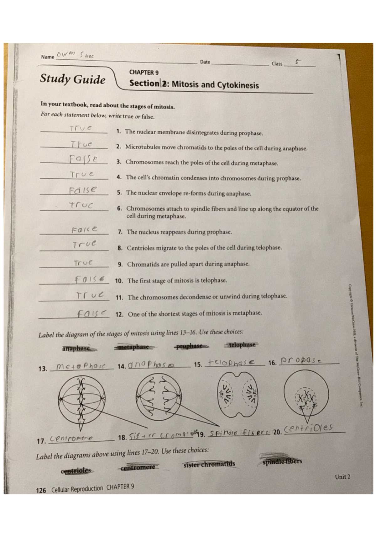 mitosis and cytokinesis task cards answer key mitosis and cytokinesis task cards answer key