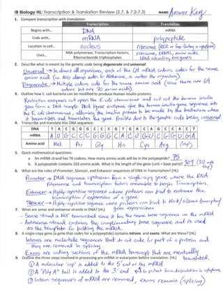 protein study guide answer key