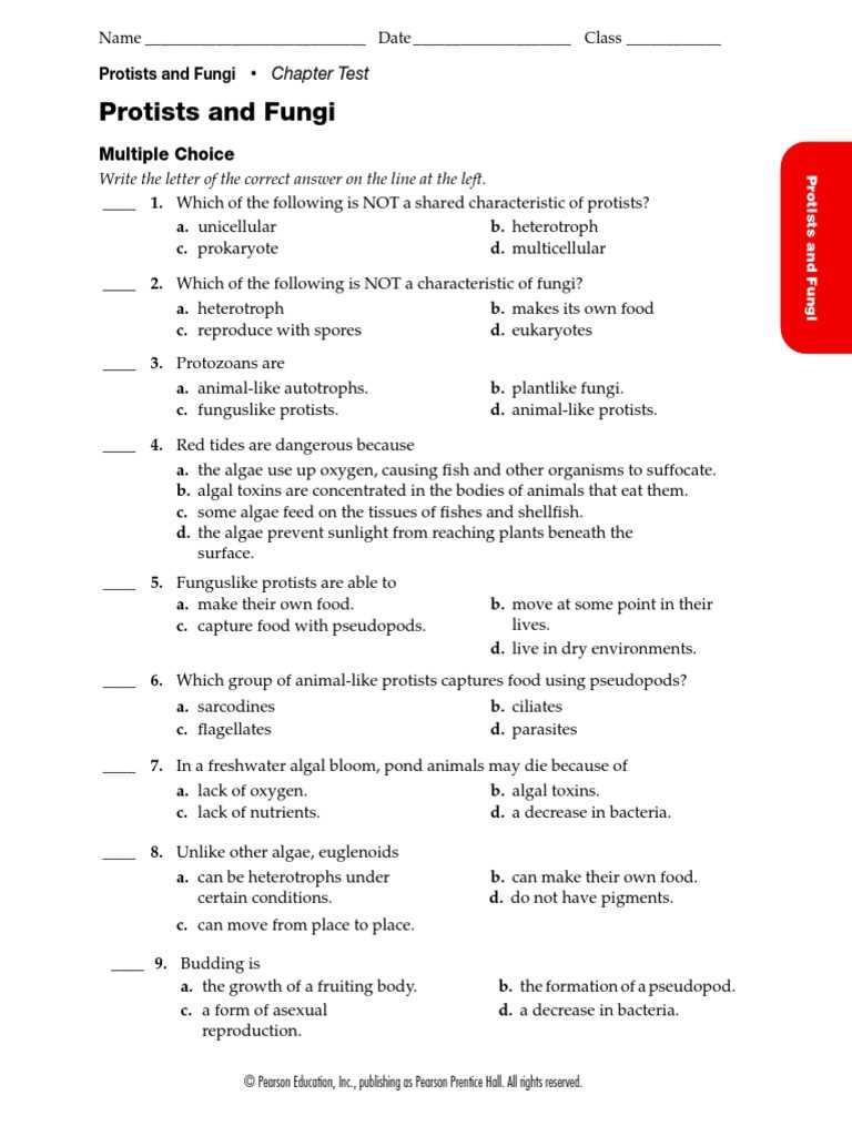 chapter 20 protists reviewing key concepts answers