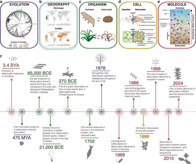 modeling the history of earth answers key