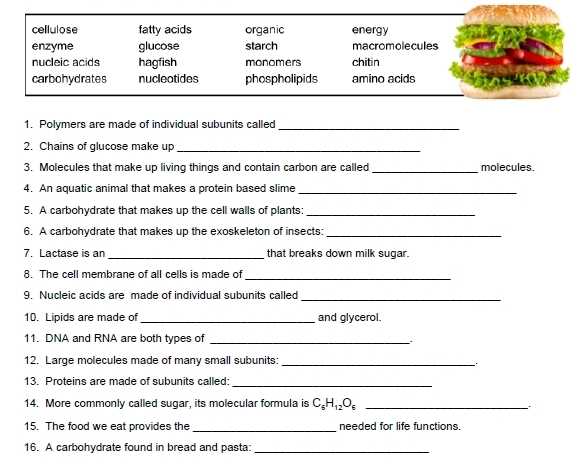 monomers and polymers worksheet answer key