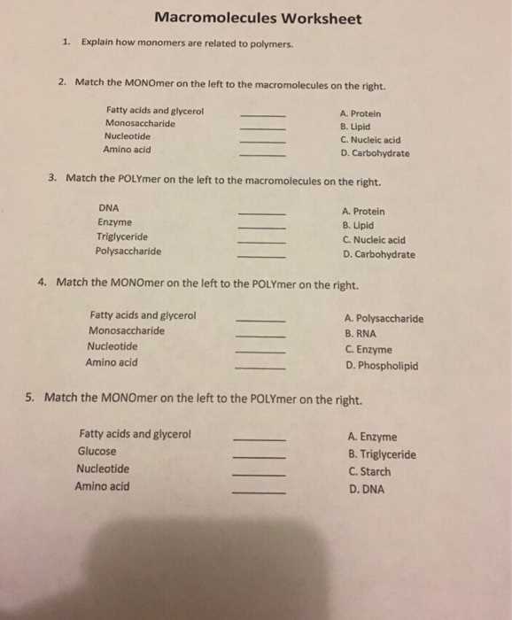 monomers and polymers worksheet answer key