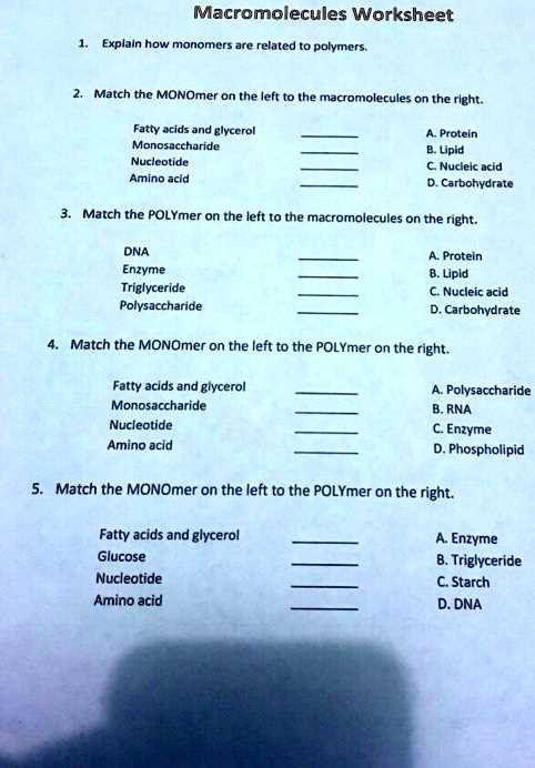 monomers and polymers worksheet answer key