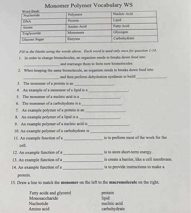 monomers and polymers worksheet answer key