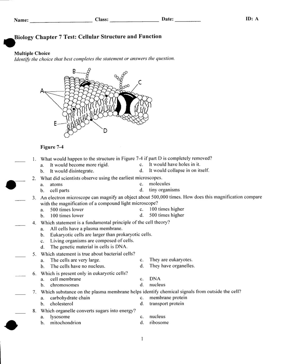 chapter 7 membrane structure and function reading guide answer key