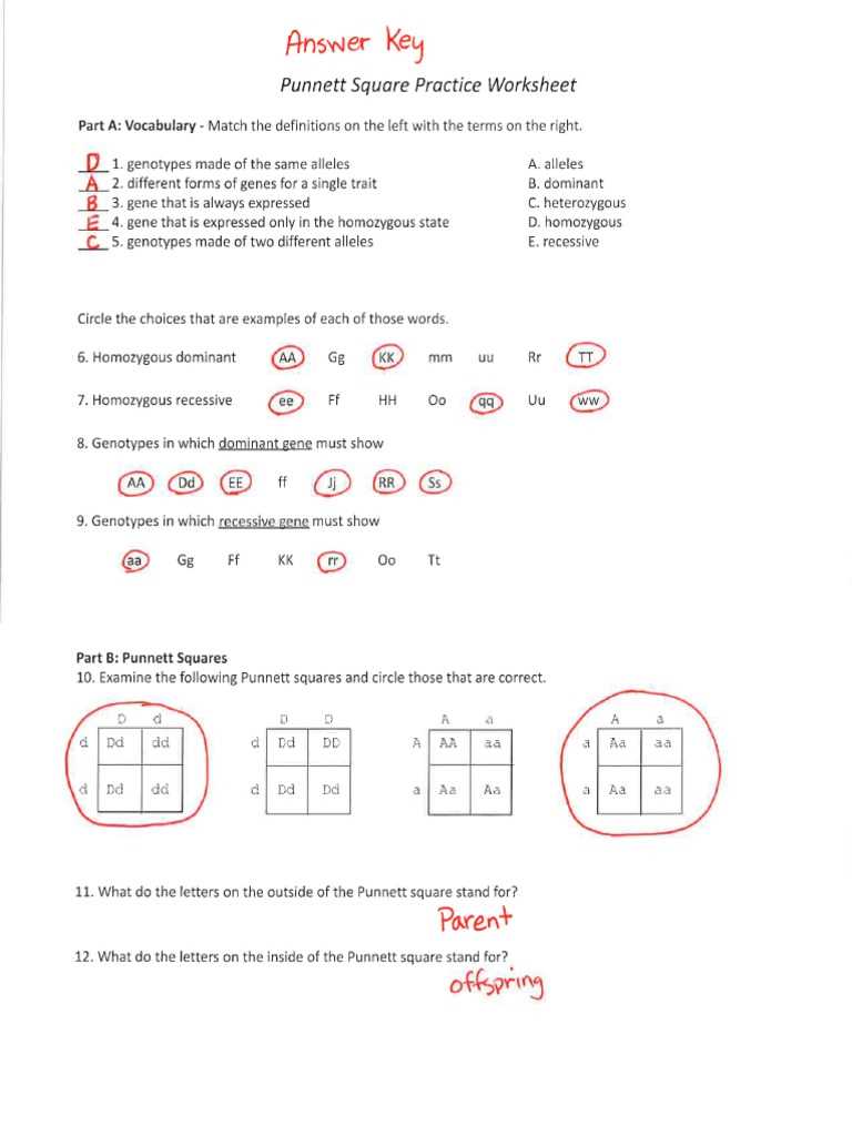 sex linked genetic punnett square problems answer key