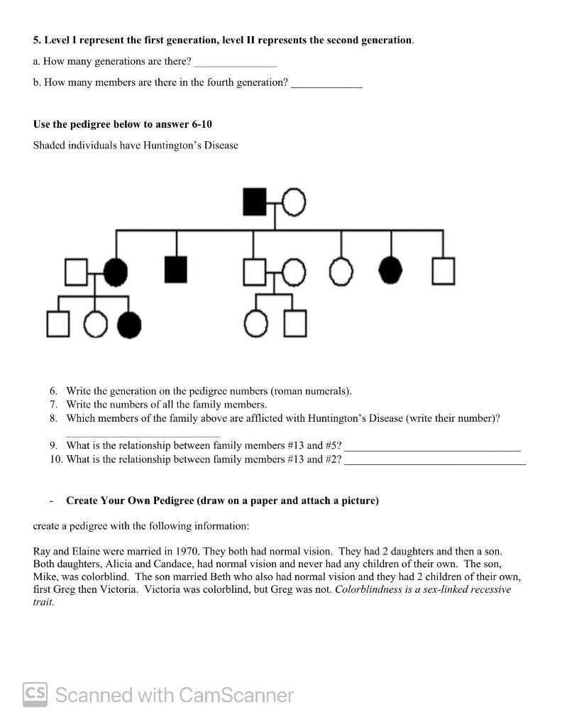 family pedigrees answer key