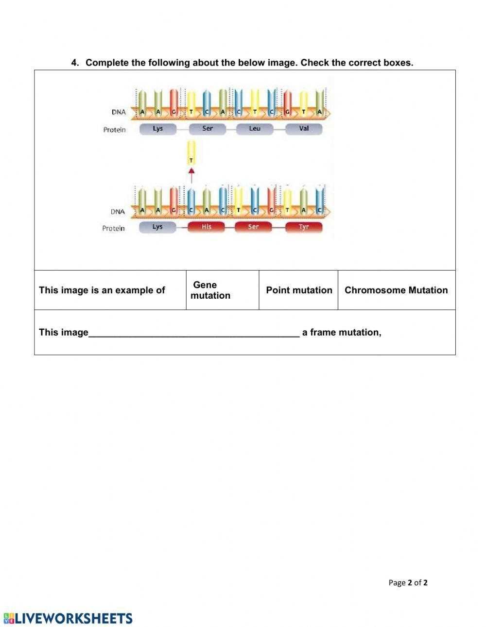mutation activity answer key