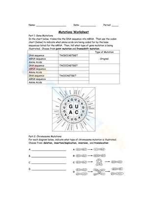 mutation activity answer key