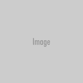 nc eog released test 8th grade reading answer key