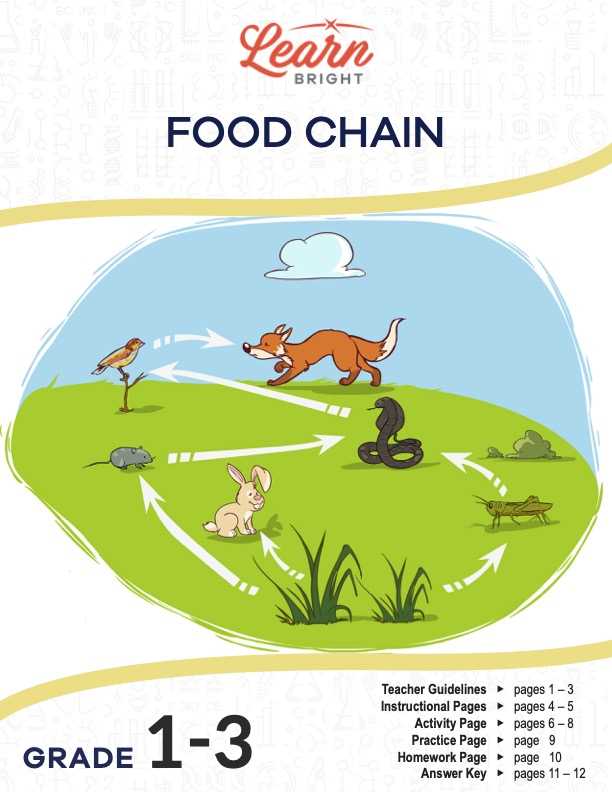 food web activity answer key food web activity answer key