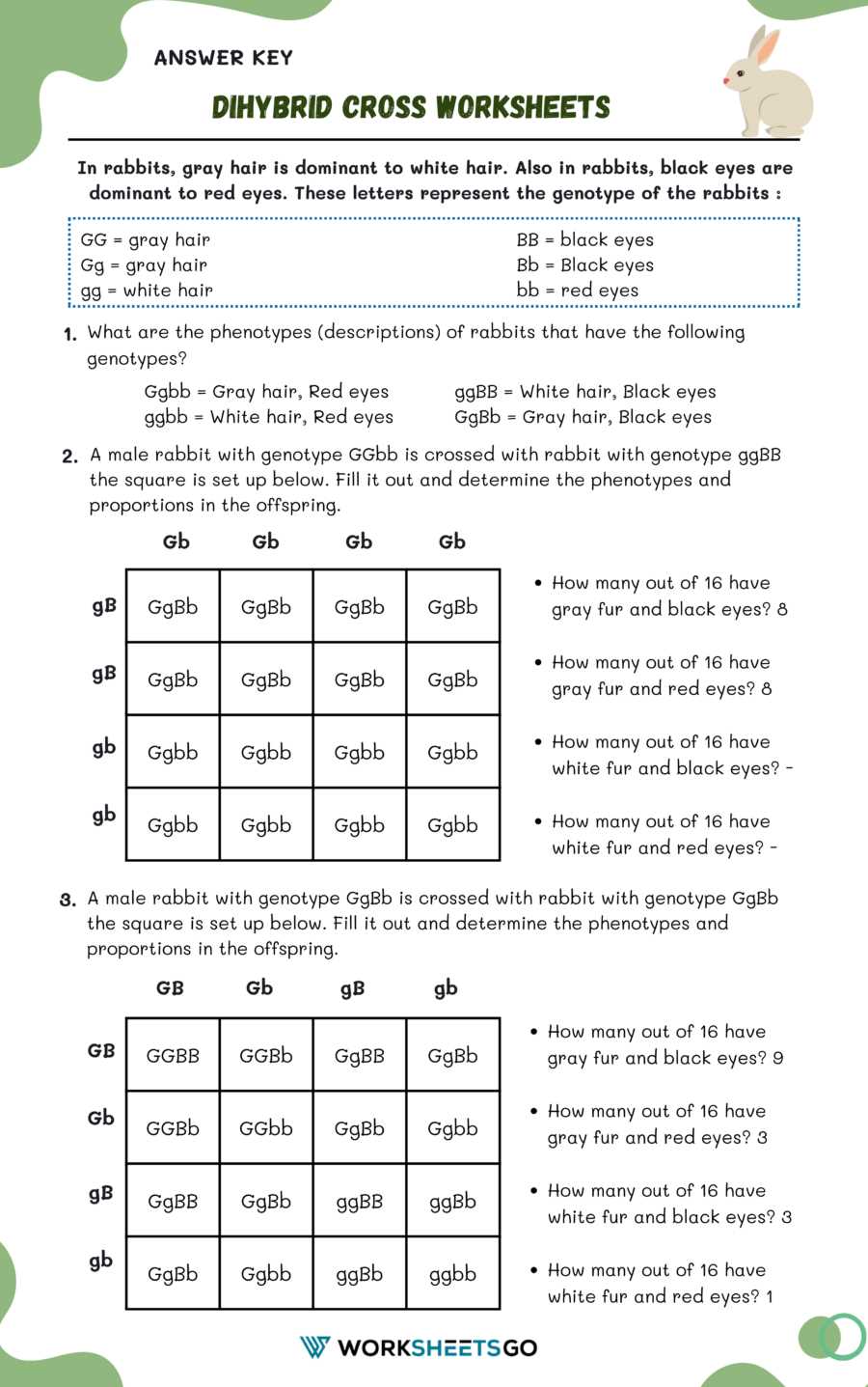 dihybrid crosses answer key dihybrid crosses answer key