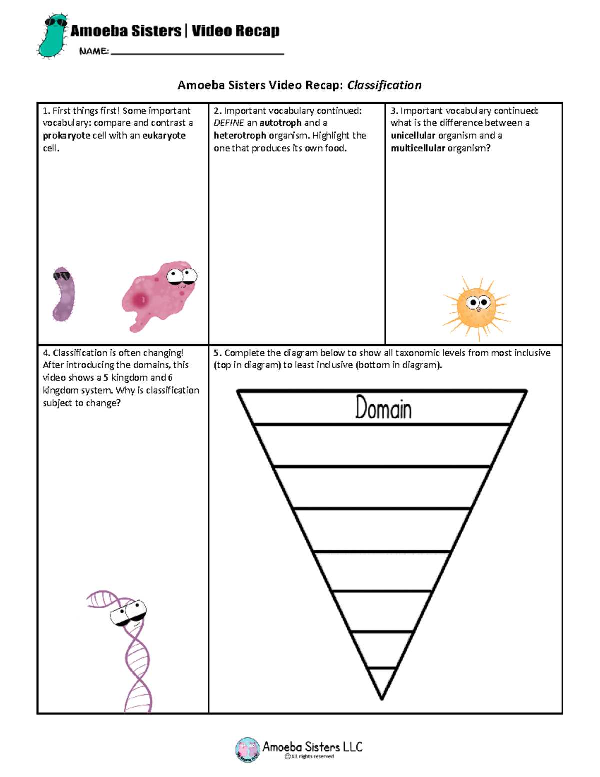 amoeba sisters video recap classification worksheet answer key