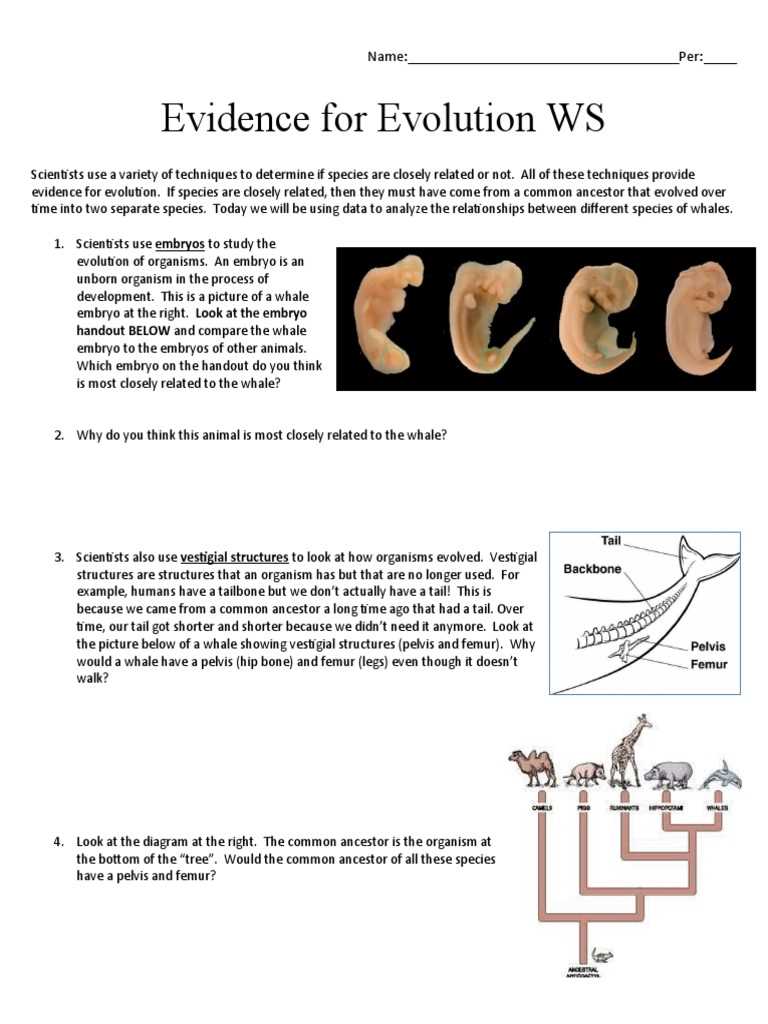 biological evidence of evolution lesson 3 page 56 answer key