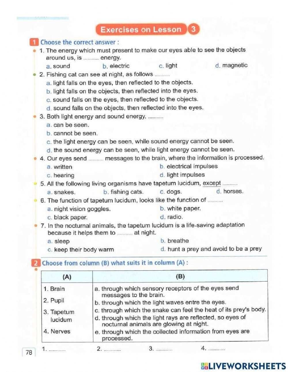 lessons about light answer key