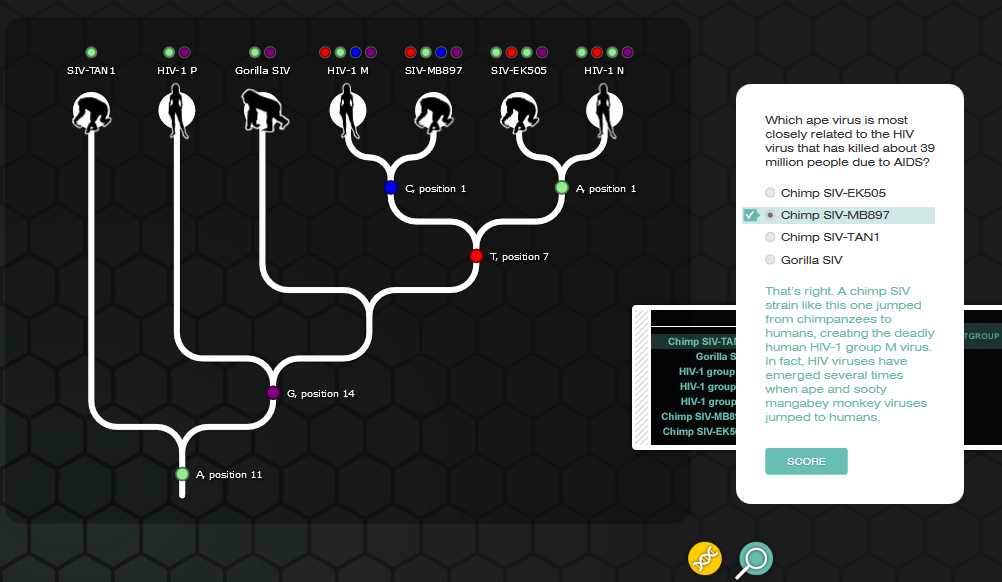 nova evolution lab answer key