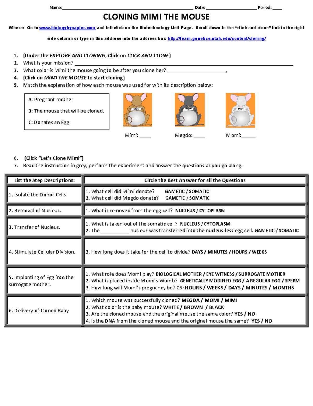 the history of cloning answer key