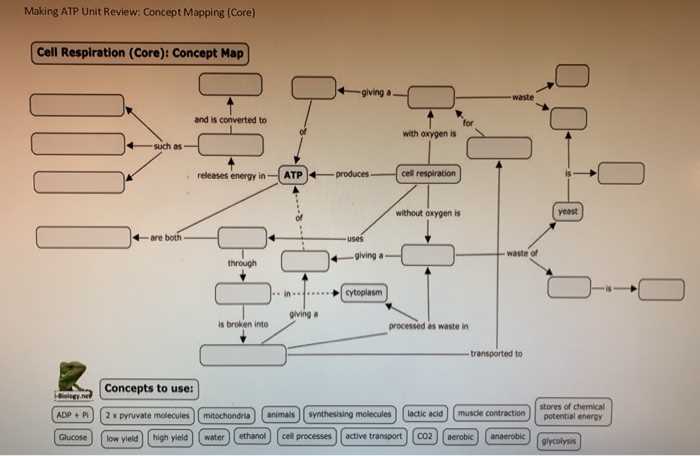 answer key cellular respiration concept map key
