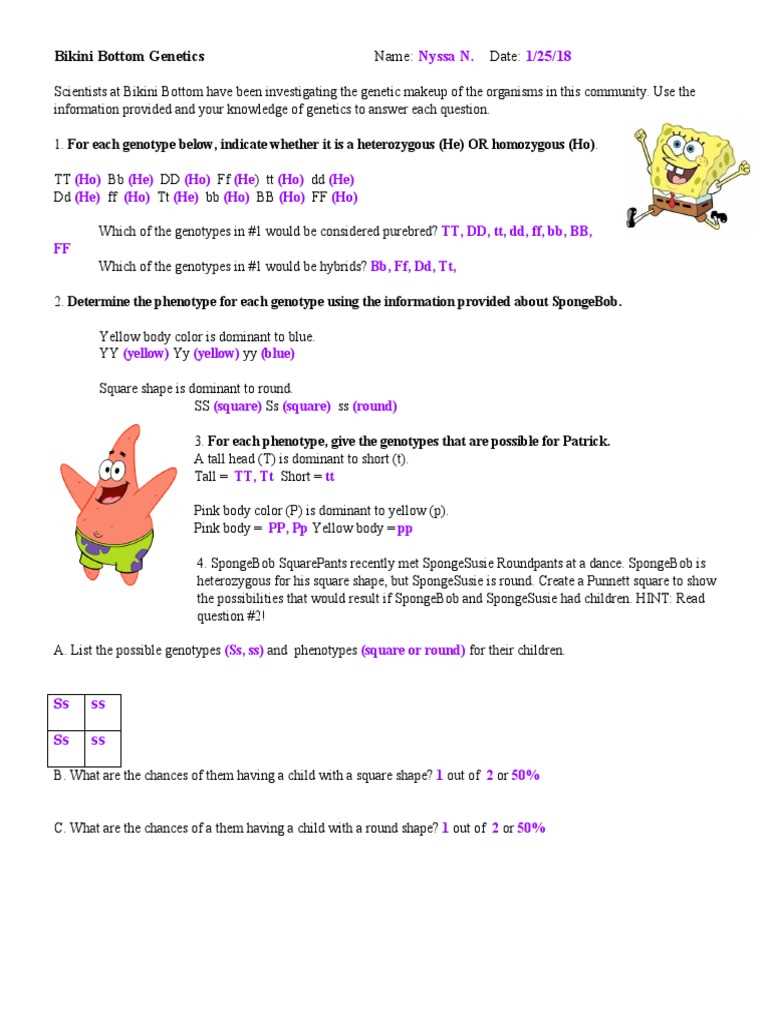 bikini bottom dihybrid practice answer key
