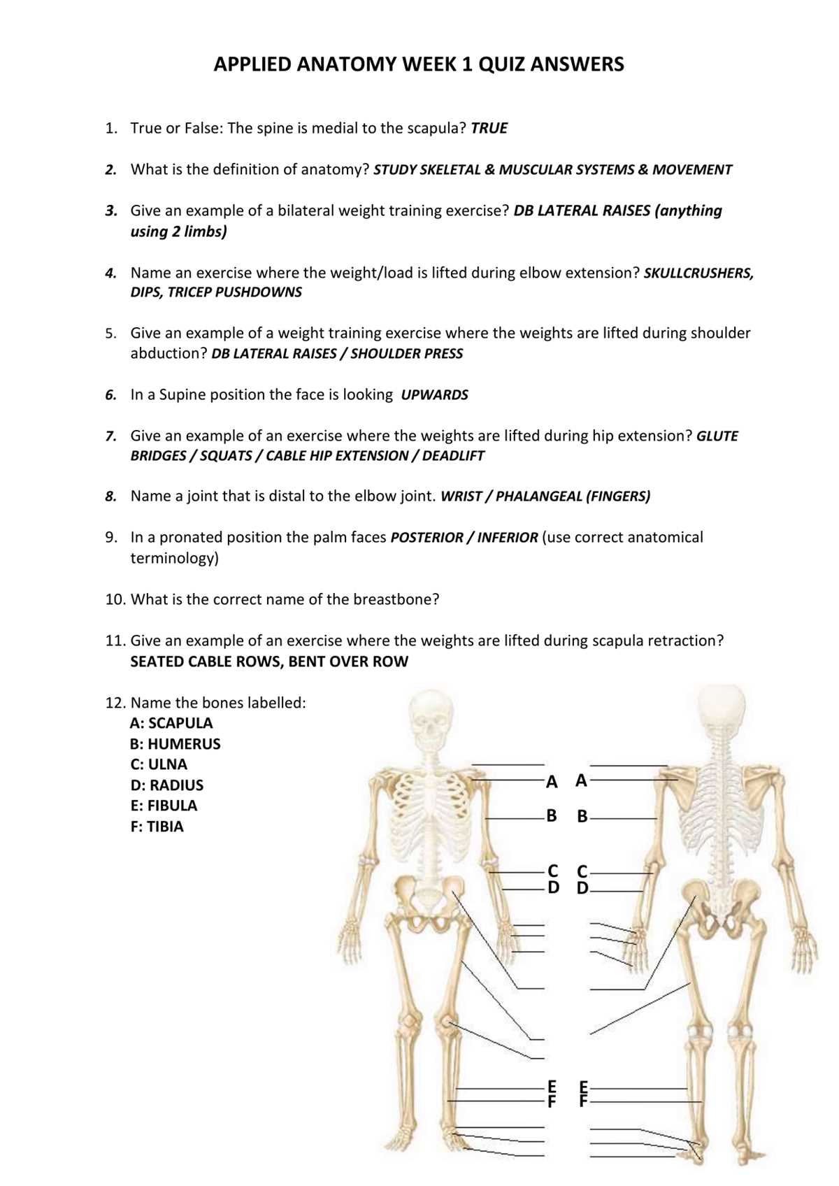 anatomy challenge answer key