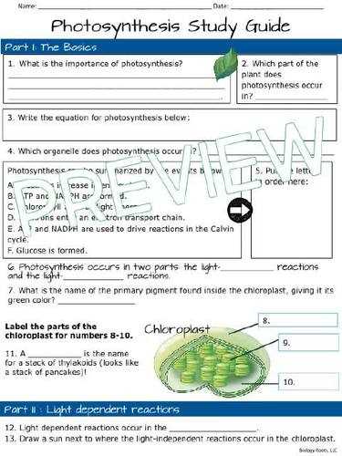 plant study guide answer key