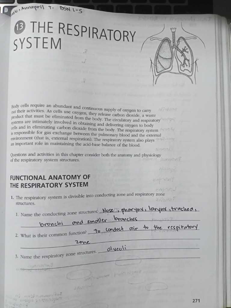 anatomy and physiology coloring workbook answer key chapter 13 anatomy and physiology coloring workbook answer key chapter 13