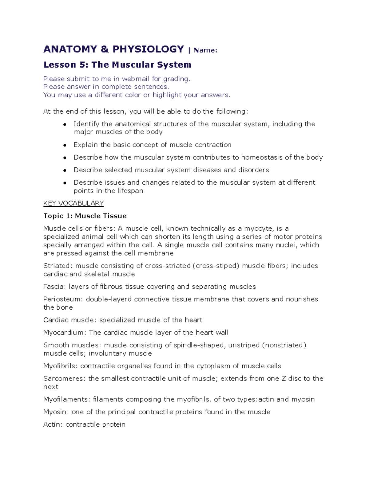 part a muscle anatomy vocabulary answer key