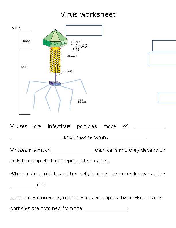 pathogens stations review answer key