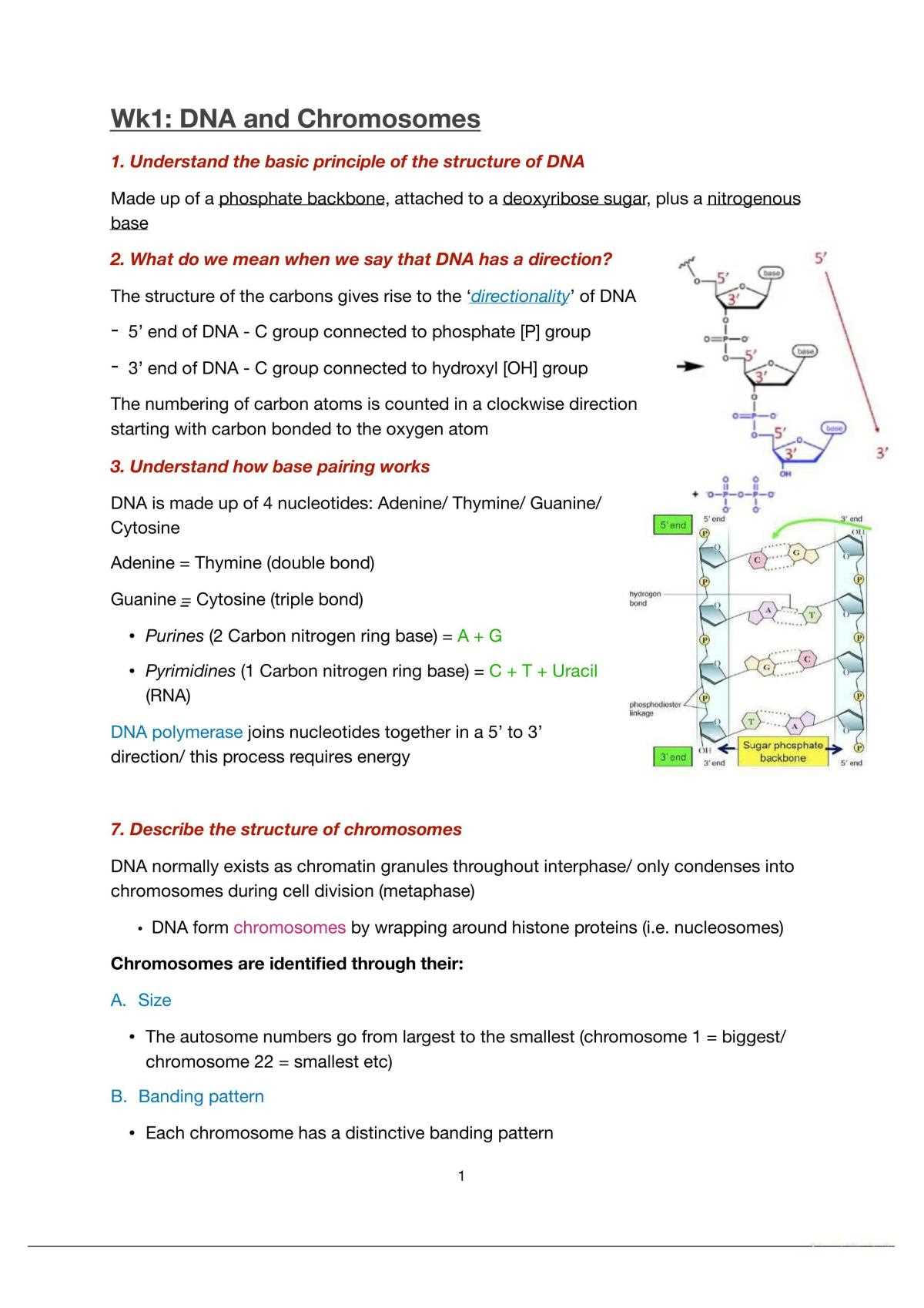 bill nye genetics resource worksheet 3 answer key